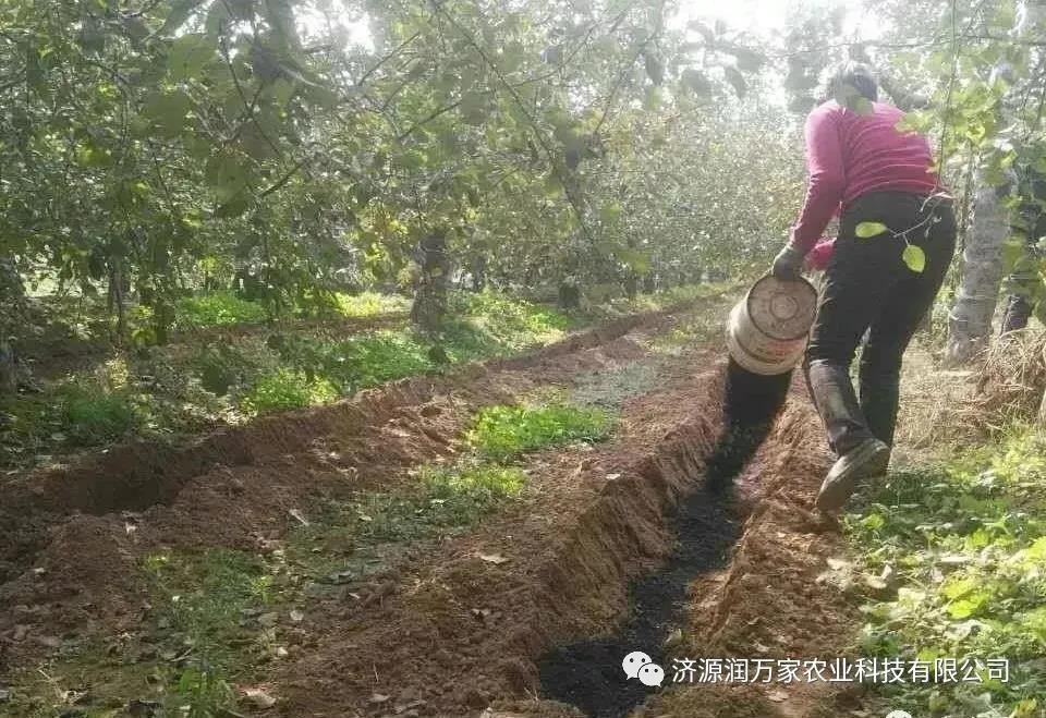 炭基生物有机肥厂家